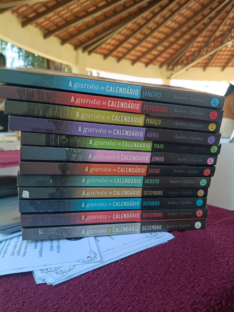 Coleção: Garota do Calendário (12 Livros)