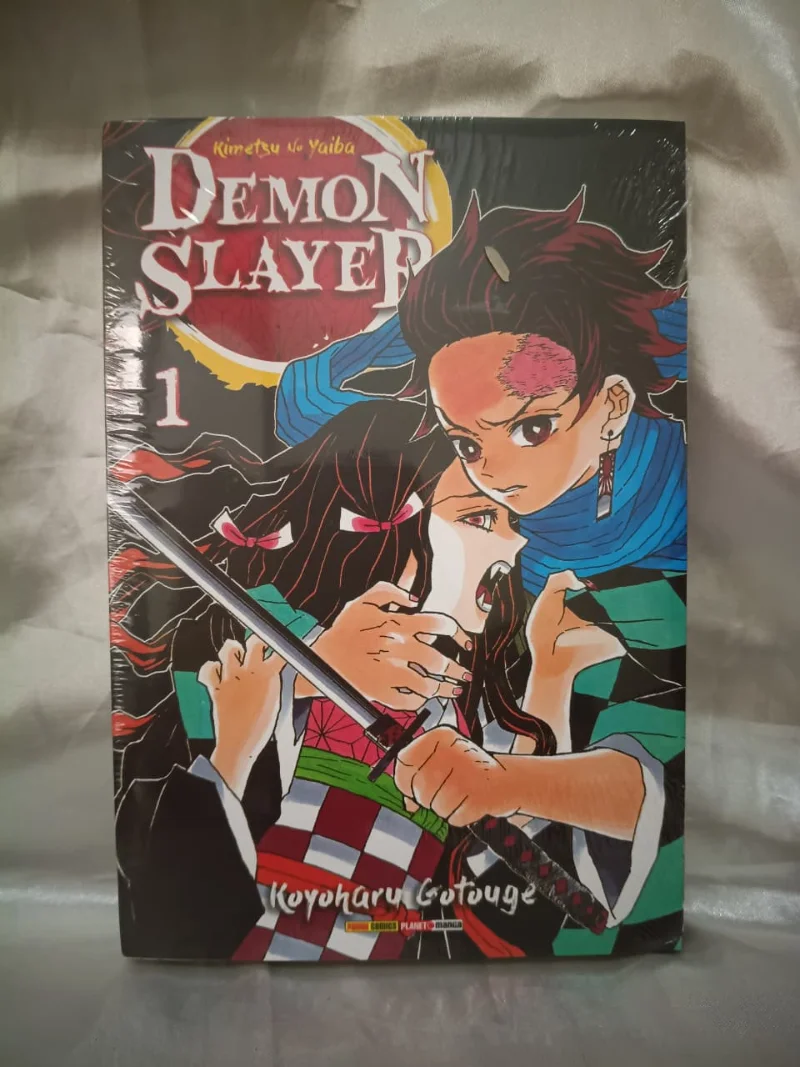 Demon Slayer Vol. 1