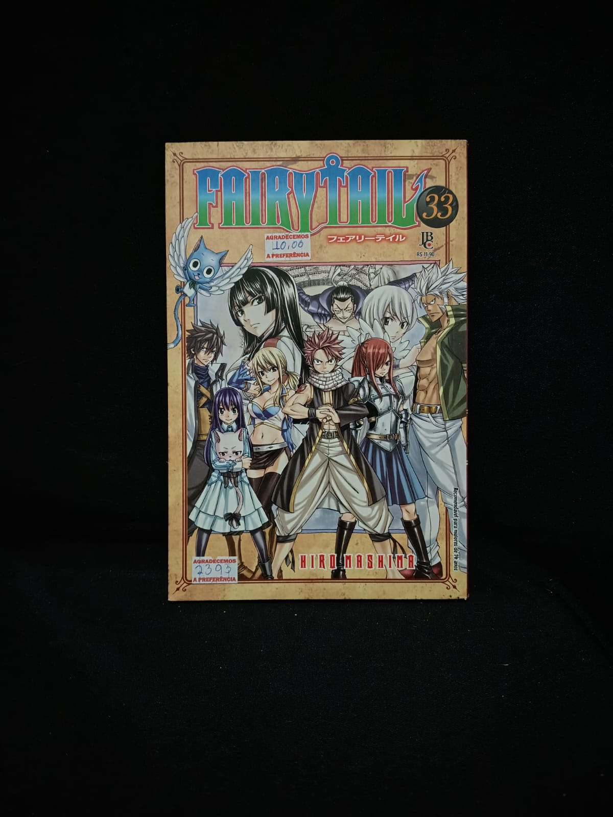 Fairy Tail Vol. 33